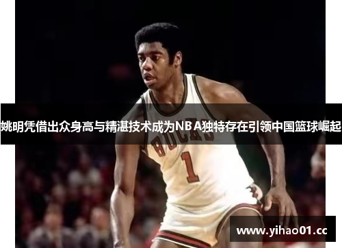 姚明凭借出众身高与精湛技术成为NBA独特存在引领中国篮球崛起