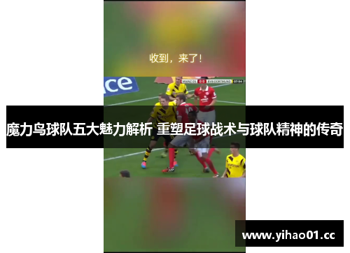 魔力鸟球队五大魅力解析 重塑足球战术与球队精神的传奇 魔力鸟球队五大魅力解析 重塑足球战术与球队精神的传奇