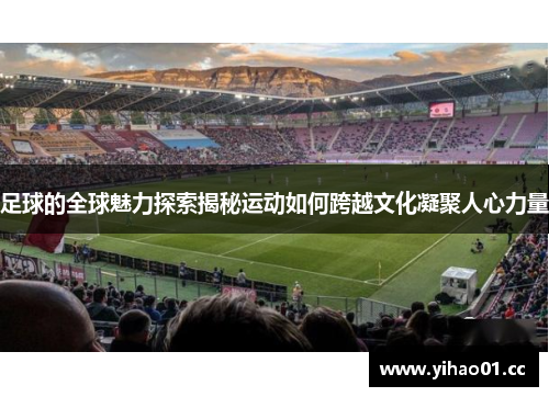 足球的全球魅力探索揭秘运动如何跨越文化凝聚人心力量