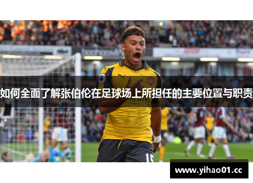 如何全面了解张伯伦在足球场上所担任的主要位置与职责